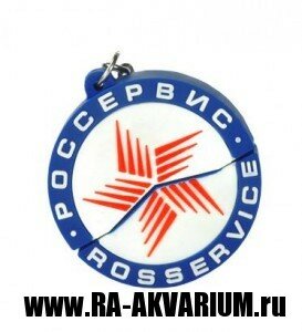 PVCQW42
