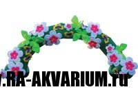 arch-butterflies