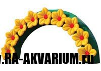arch-flowers