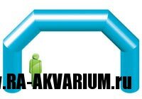 arch-pryamaya