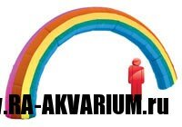 arch-rainbow